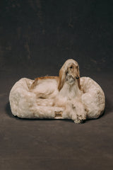 The Lola Pet Bed | Ivory Fawn