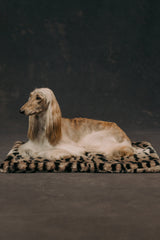 The Lola Pet Pad | Desert Tiger